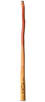 Tristan O'Meara Didgeridoo (TM354)